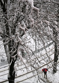 Milano sotto la neve dalla finestra di casa...