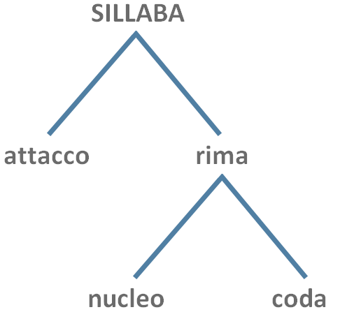 rappresentazione grafica della struttura della sillaba