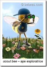immagine ape esploratrice, in inglese scout bee