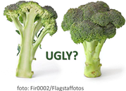 foto di broccoli