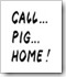 call… pig… home…