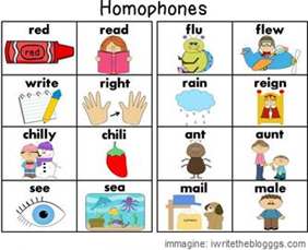 Tabella con alcuni omofoni molto comuni: red-read, flu-flew, write-right, rain-reign, chilly-chili, ant-aunt, see-sea, mail-male