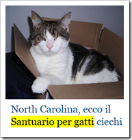 North Carolina, ecco il Santuario per gatti ciechi – Fulvio Cerutti in La Stampa 9 settembre 2014