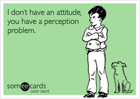 Vignetta: “I don’t have an attitude, you  have a perception problem”