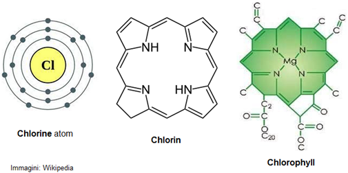 chlorine - chlorin