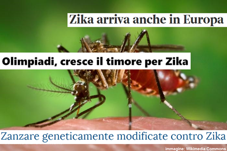 esempi di titoli: Zika arriva anche in Europa – Olimpiadi, cresce il timore per Zika – Zanzare geneticamente modificate contro Zika