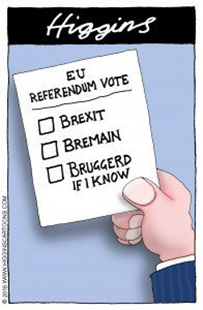 EU REFERENDUM VOTE: ☐ BREXIT  ☐ BREMAIN  ☐ BRUGGERD IF I KNOW 