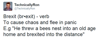 Brexit (br•exit) - verb To cause chaos and flee in panic E.g "He threw a bees nest into an old age home and brexited into the distance"