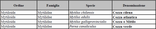 denominazione ordine Mytiloida