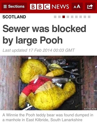 Sewer was blocked by large Pooh