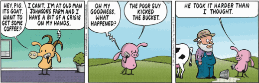 “The poor guy kicked the bucket”