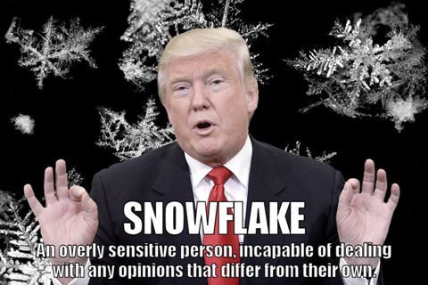 SNOWFLAKE: an overly sensitive person, incapable of dealing with any opinions that differ from their own.