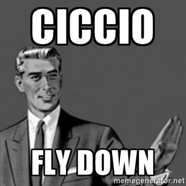 CICCIO FLY DOWN