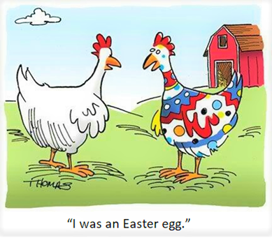 gallina con disegni a vari colori sulle piume spiega a gallina bianca “I was an Easter egg”