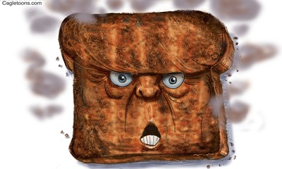 Trump is toast  (fetta di pane tostato con la faccia di Donald Trump)