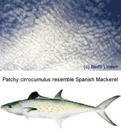 Patchy cirrocumulus resemble Spanish Mackerel