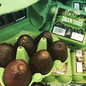 Zilla eggs - 6 mini avocados