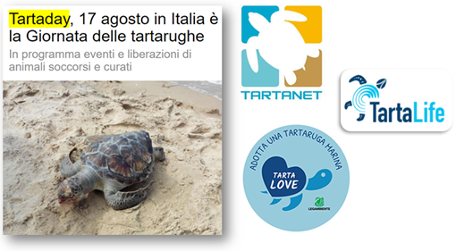 Titolo notizia: Tartaday, 17 agosto in Italia è la Giornata delle tartarughe. In programma eventi e liberazioni di animali soccorsi e curati. Logo: TartaNet, TartaLife e TartaLove