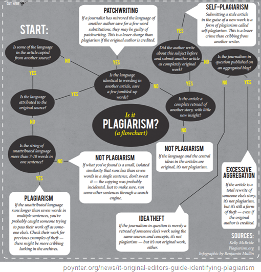 diagramma di flusso: plagiarism, self-plagiarism, patchwriting, idea theft