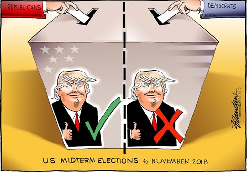vignetta Miterm elections