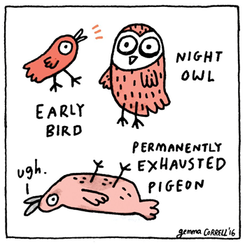 early bird - night owl - permanently exhausted pigeon