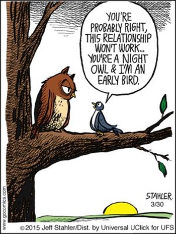 Vignetta con allodola che dice a gufo: “You’re probably right, this relationship won’t work… You’re a night owl and I’m an early bird” 