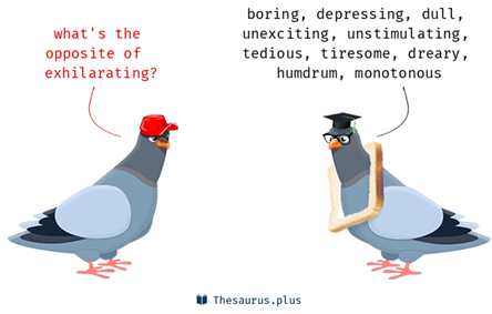  the opposite of exhilarating: boring, depressing, dull, unexciting, unstimulating, tedious, tiresome, dreary, humdrum, monotonous