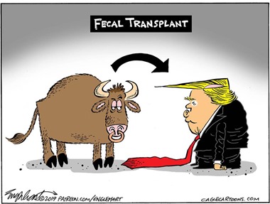 vignetta con toro e Trump, freccia che li collega e didascalia FECAL TRANSPLANT