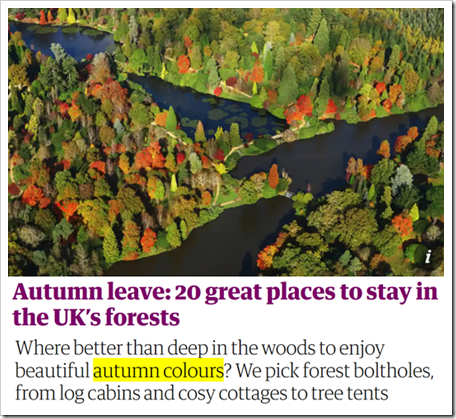 Autumn leave: 20 great places to stay in the UK’s forests. Where better than deep in the woods to enjoy beautiful autumn colours? We pick forest boltholes, from log cabins and cosy cottages to tree tents