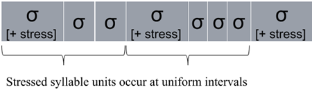 rappresentazione grafica di sillabe accentate a intervalli regolari