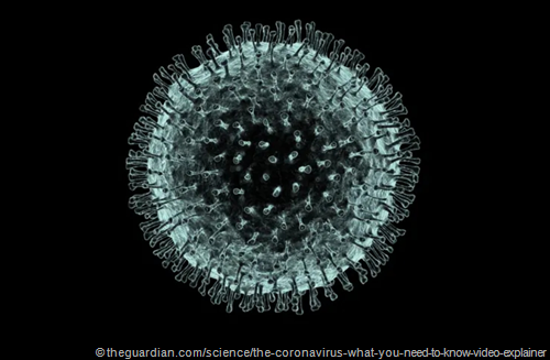 rappresentazione grafica di coronavirus