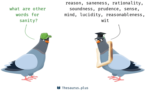 What are other words for sanity? Reason, saneness, rationality, soundness, prudence, sense, mind, lucidity, reasonableness, wit