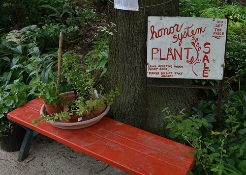 Honor system. Plants for sale: leave offering under front door. 