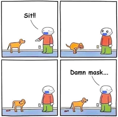 Vignette: 1 persona con indosso la mascherina che dice SIT! al cane. Il cane fa la cacca (SHIT) e la persona commenta DAMN MASK 