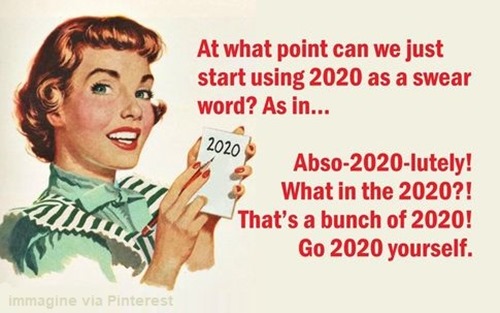 At what point can we just start using 2020 as a swear word? As in… abso-2020-lutely! What in the 2020?! That’s a bunch of 2020! Go 2020 yourself. 