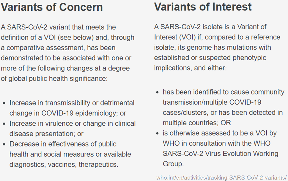 tabella con definizioni in ingles di Variant of Concern e Variant of Interest