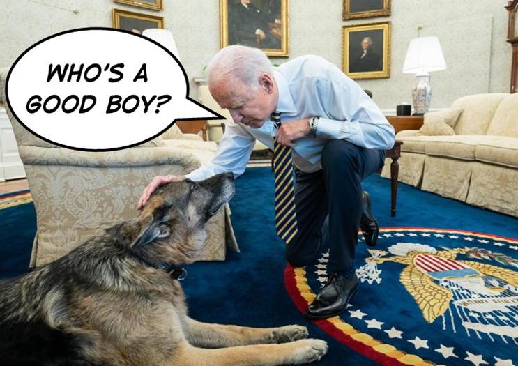 Foto del cane Champ alla Casa Bianca con Joe Biden che lo accarezza e gli chiede  “Who’s a good boy?”