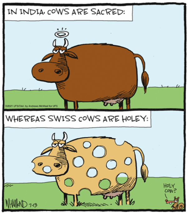 Vignetta con 2 mucche: una con aureola e didascalia “in India cows are sacred”, l’altra color formaggio, a buchi e didascalia “Whereas Swiss cows are holey”