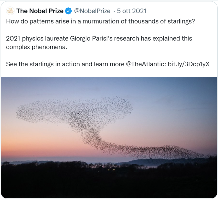 tweet di @NobelPrize: “How do patterns arise in a murmuration of thousands of starlings? 2021 physics laureate Giorgio Parisi's research has explained this complex phenomena. See the starlings in action and learn more”