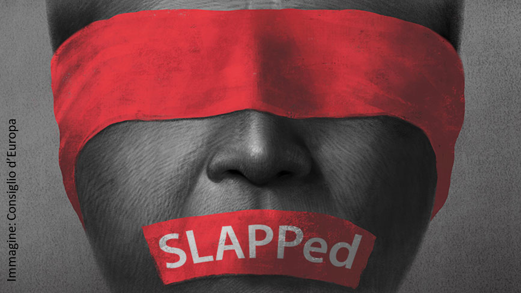 Immagine di persona blindata e con cerotto che copre la bocca con scritta SLAPPed - fonte Consiglio d’Europa 