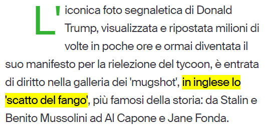 Testo: “L’iconica foto segnaletica di Donald Trump […] è entrata di diritto nella galleria dei “mugshot”, in inglese lo “scatto del fango”, più famosi della storia