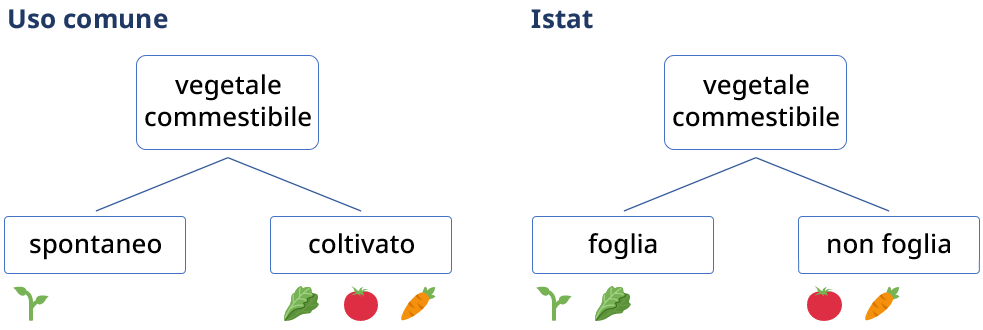 grafico con sintesi dei due diversi sistemi concettuali in uso comune e per Istat